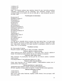 www.speros.lt